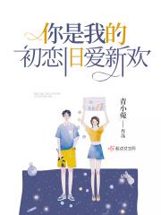 你是我的初恋旧爱新欢