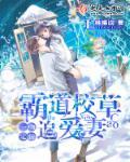 陆总前妻太傲娇大结局