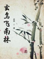 玄鸟简介