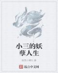 小三的妖孽人生
